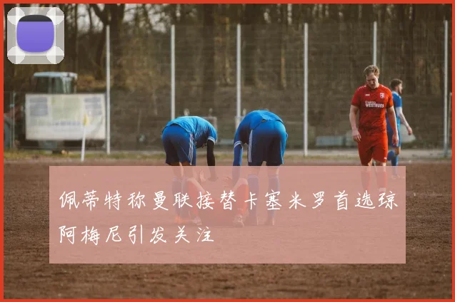 佩蒂特称曼联接替卡塞米罗首选琼阿梅尼引发关注
